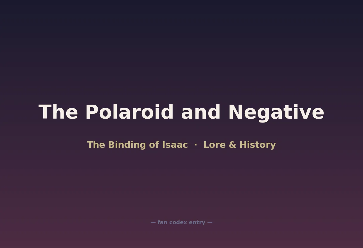 The Polaroid and Negative