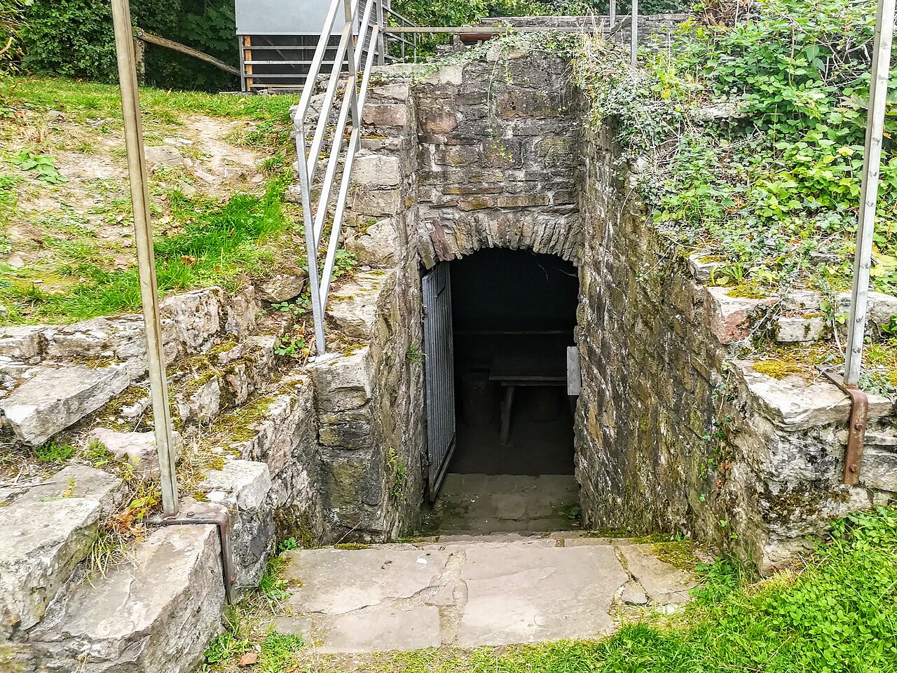 Cellar