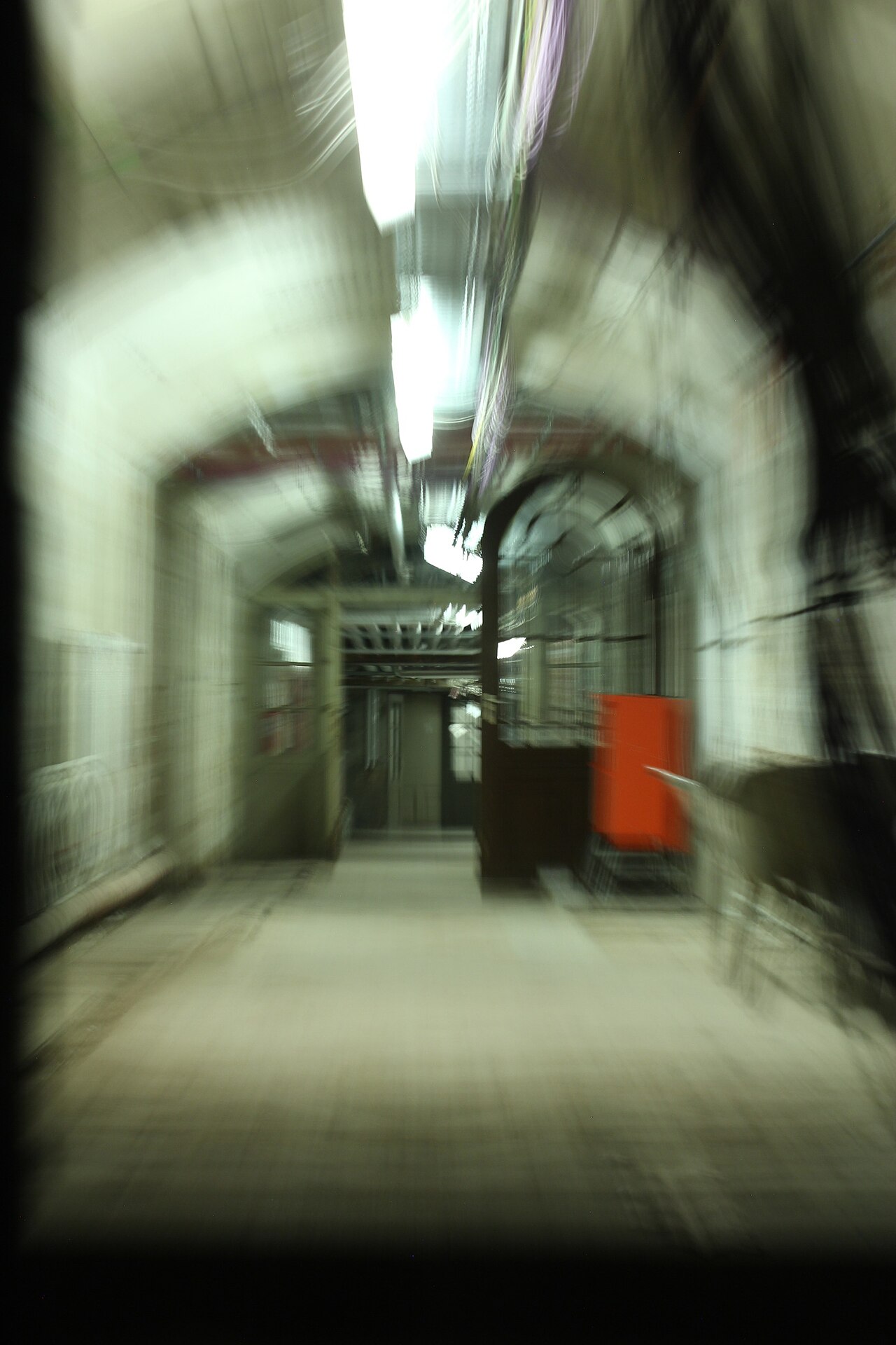 Cellar