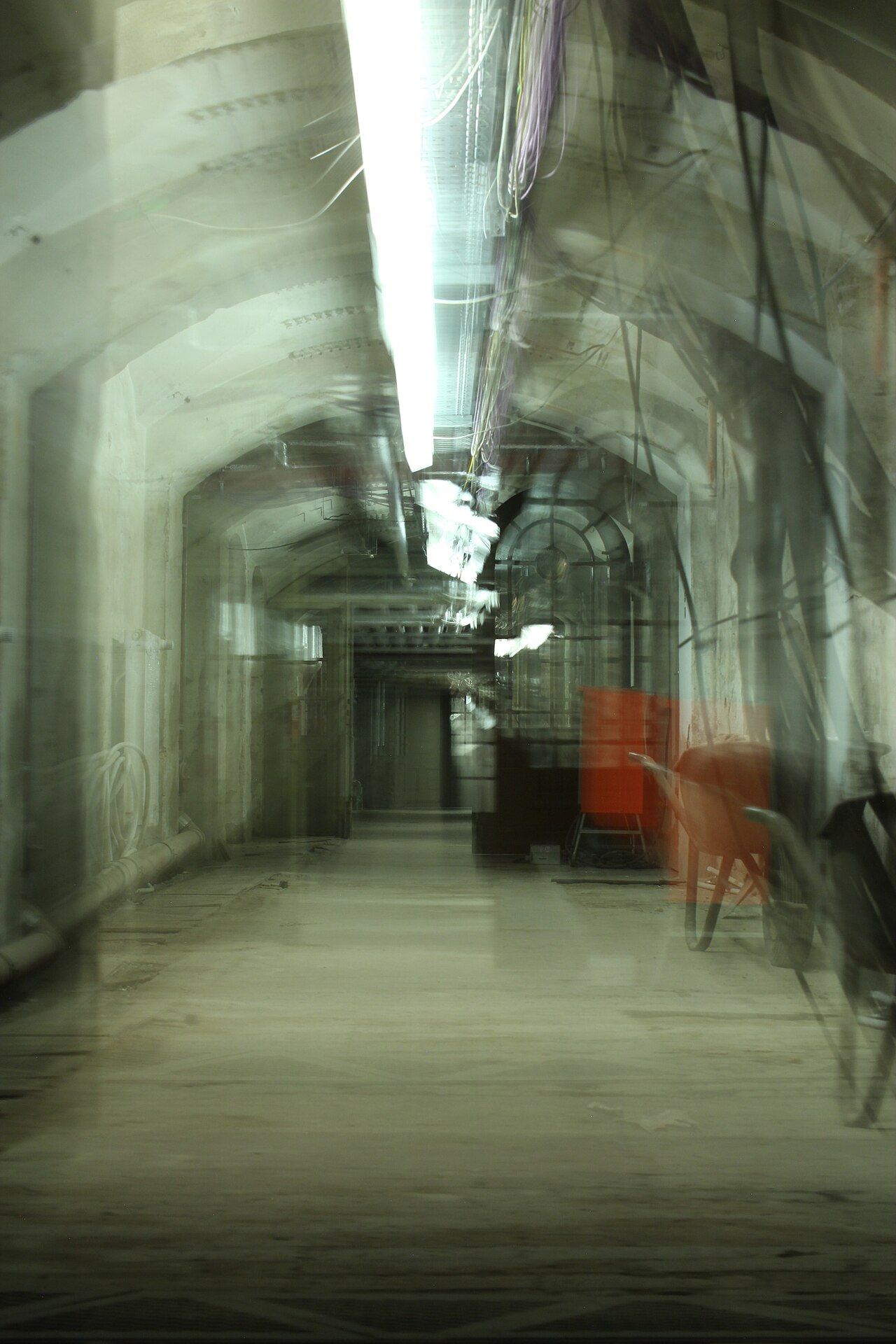 Cellar