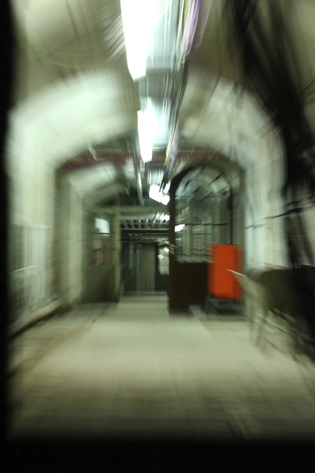 Cellar